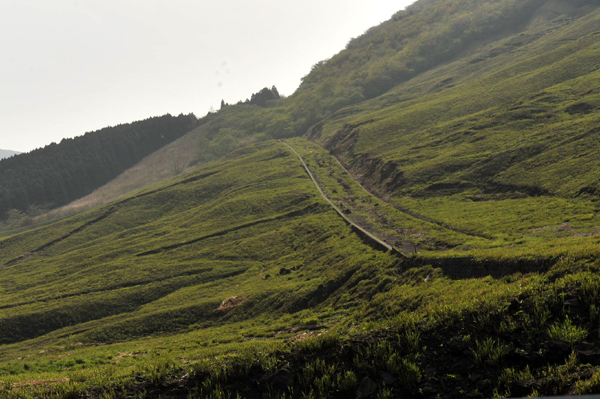 426 550 19 DSC_1593.jpg